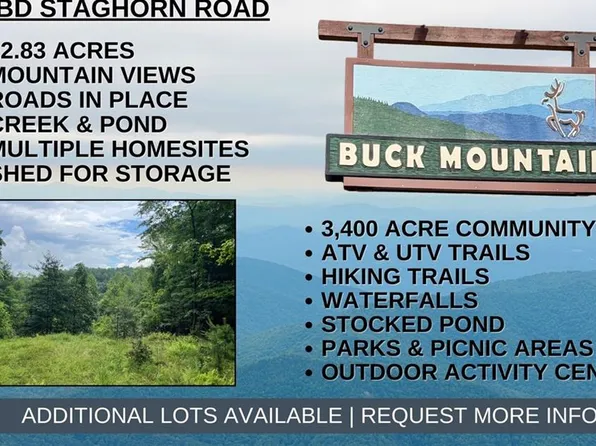 Tbd Staghorn Rd, Purlear, NC 28665