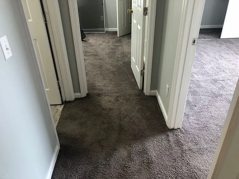 1070 Jessamine Trl — Photo 35