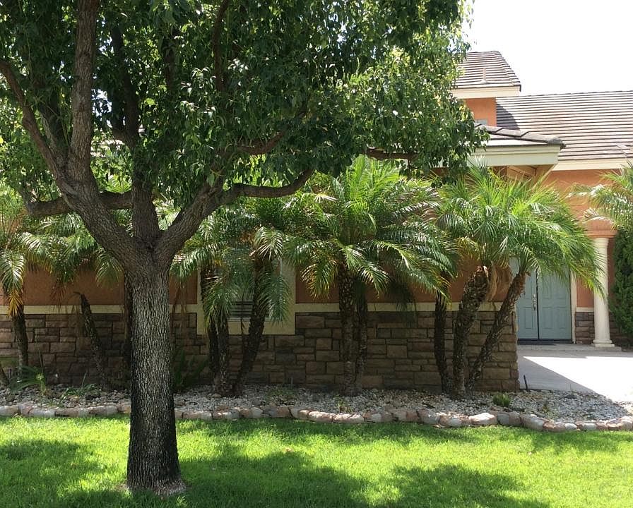 Old Front house curb view