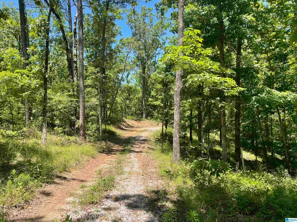 1721 Westover Rd #0, Sterrett, AL 35147