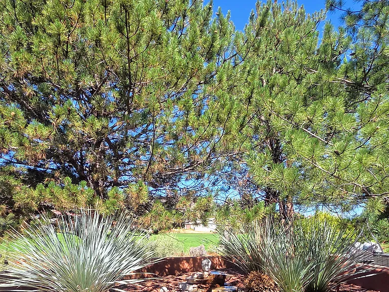 185 Bent Tree Dr — Photo 25