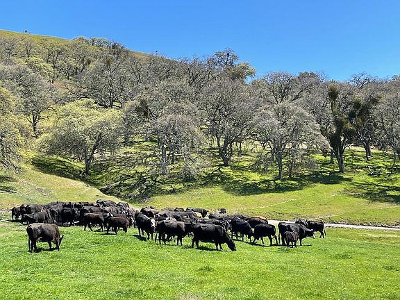 5th image of 0 E Carmel Valley Rd