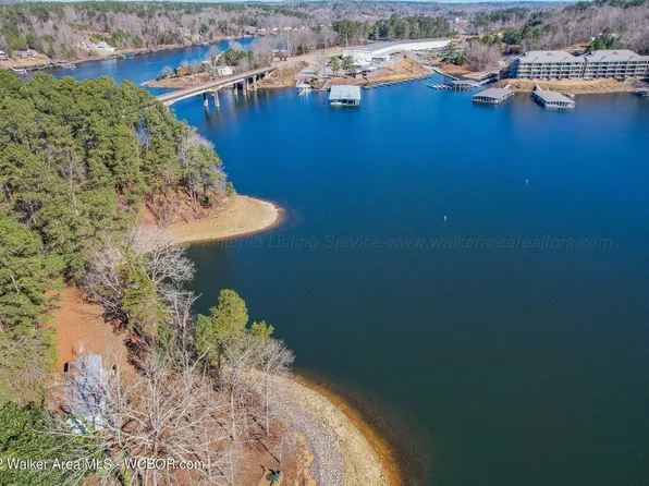 21416 County Road 222, Crane Hill, AL 35053