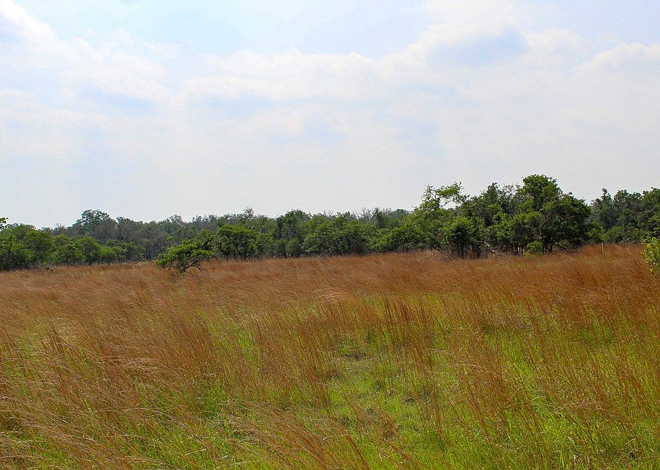 2nd image of 137 Lipan Loop