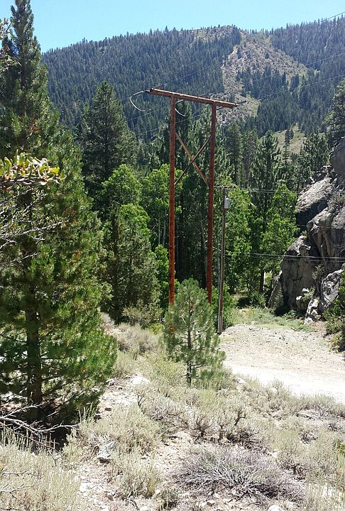 2nd image of Lot 15 W. Steelhead
