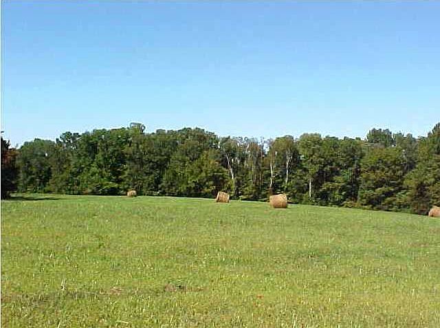 2nd image of 1 Bardstown Trl