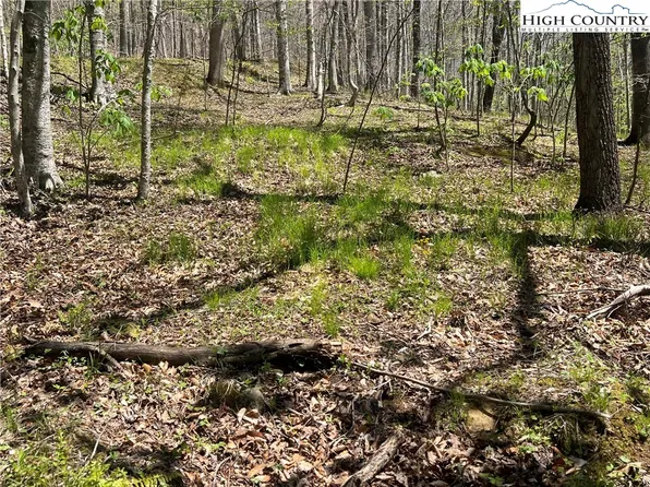 TBD Walnut Lane, Vilas, NC 26692