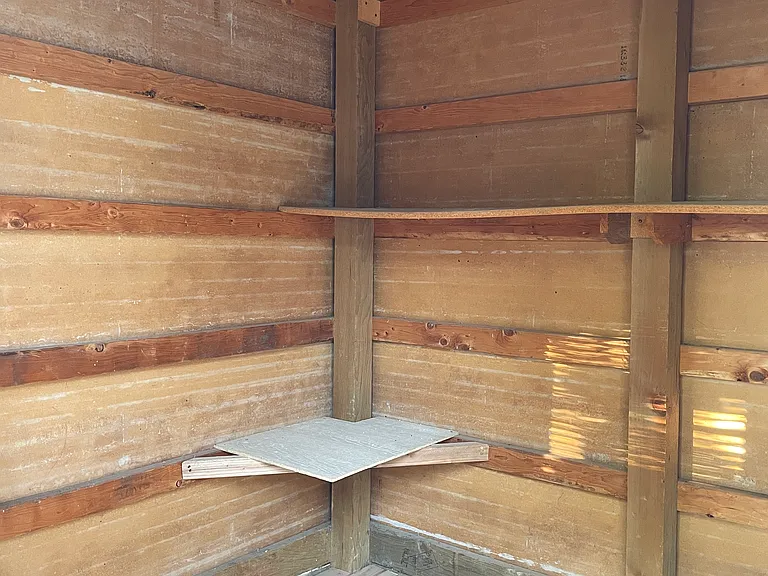Shed