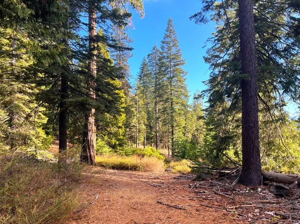 41736 Timber View Ln Unit 13, Shaver Lake, CA 93664