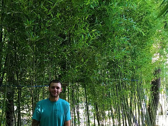 Cape May Bamboo 856-204-2037