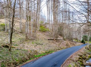 Ingram Rd, Roan Mountain, TN 37687