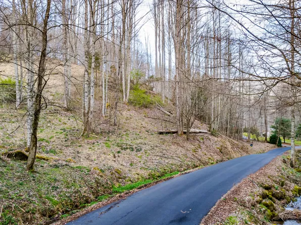 Ingram Rd, Roan Mountain, TN 37687