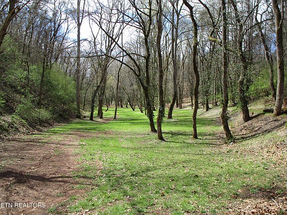 5th image of 4125 Bear Hollow Loop