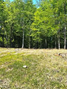 905 Ski Spray Point, Opelika, AL, 36804