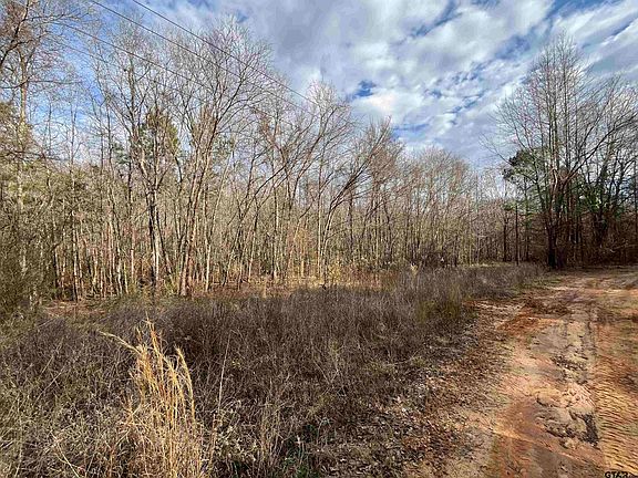 3rd image of Venus Rd