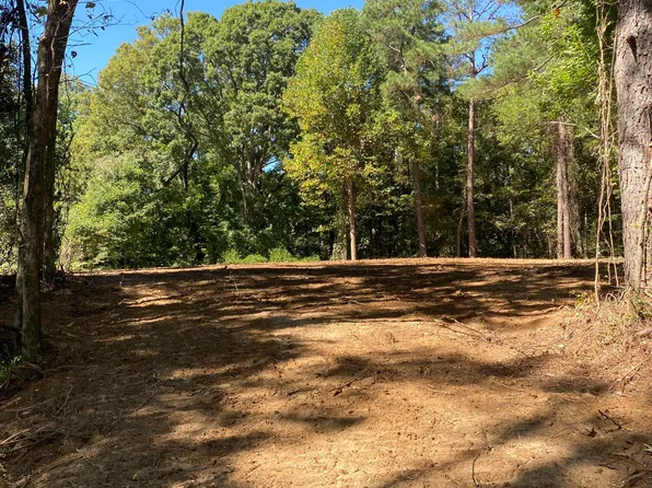 O Bluff Rd, Coldwater, MS 38618