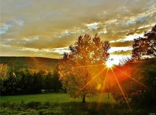 3487 McClary Rd, La Fayette, NY 13084