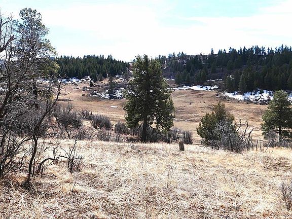 2nd image of 673 Spring Creek Circle