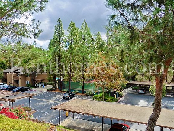 5th image of 10284-185 Black Mountain Rd