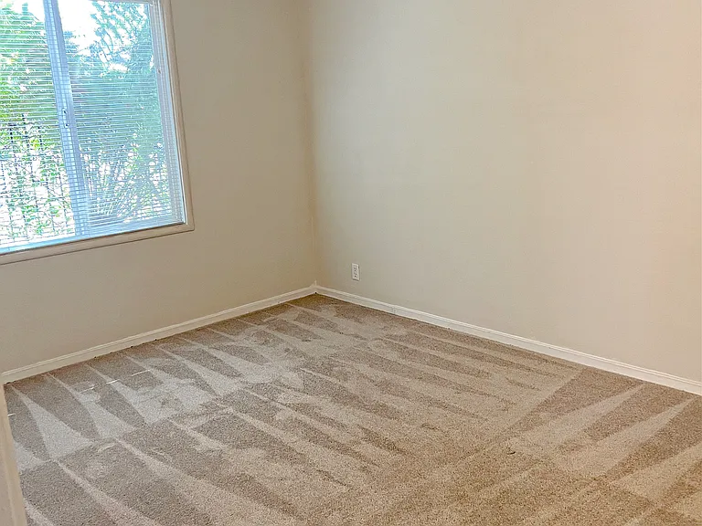 Manchester Apartments — Photo 20