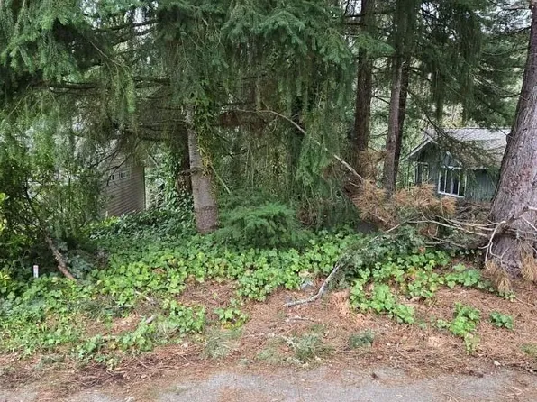 4864 152nd Pl SE, Bellevue, WA 98006