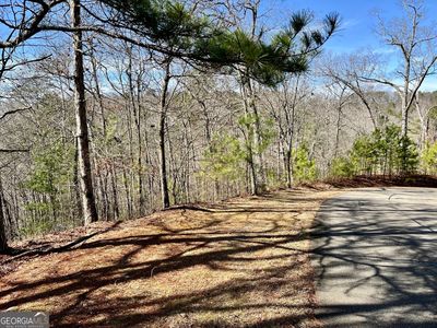 Tt 105 Tumbling Waters Ln, Ellijay, GA, 30540