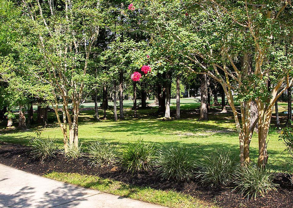 2nd image of 511 Shadowmoss Pkwy