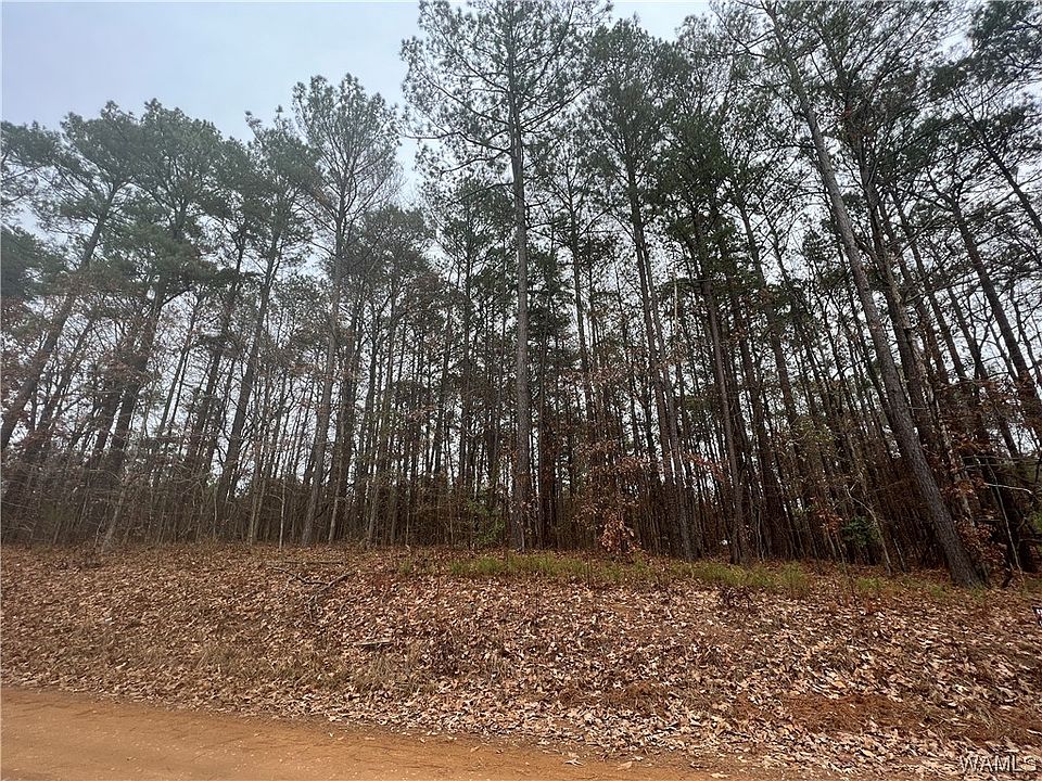 1st image of O'Gladys Dr