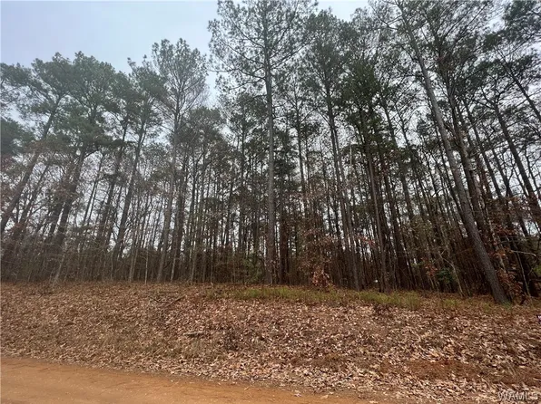 O'Gladys Dr, Vance, AL 35490