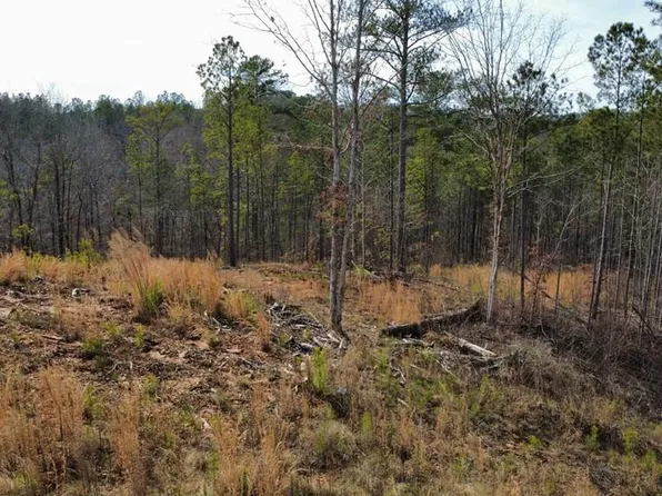 LOT 171 Shallow Water Way, Talking Rock, GA 30175