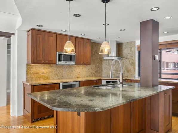 1125 Vine St #1125, Aspen, CO 81611