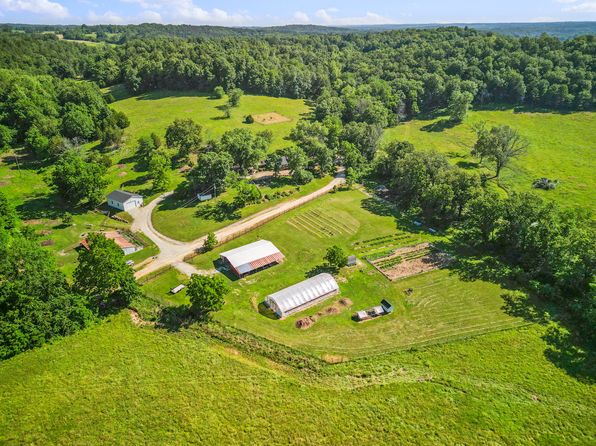 38205 County Road Ee-270, Vanzant, MO 65768