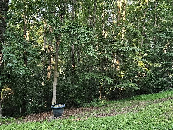 3rd image of 1040 Overlook Trl