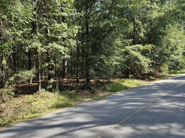 0 Cork Pond Rd, Sylvania, GA 30467