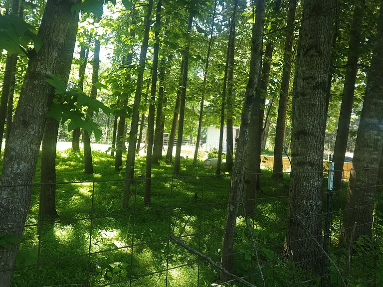 88 Cajun Hill Rd — Photo 7