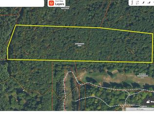 White Ash Trl, Vanderbilt, MI 49795