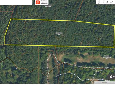 White Ash Trl, Vanderbilt, MI, 49795