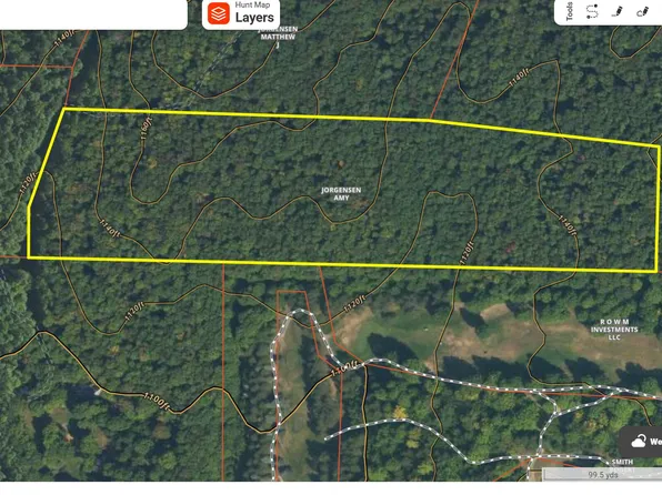 White Ash Trl, Vanderbilt, MI 49795