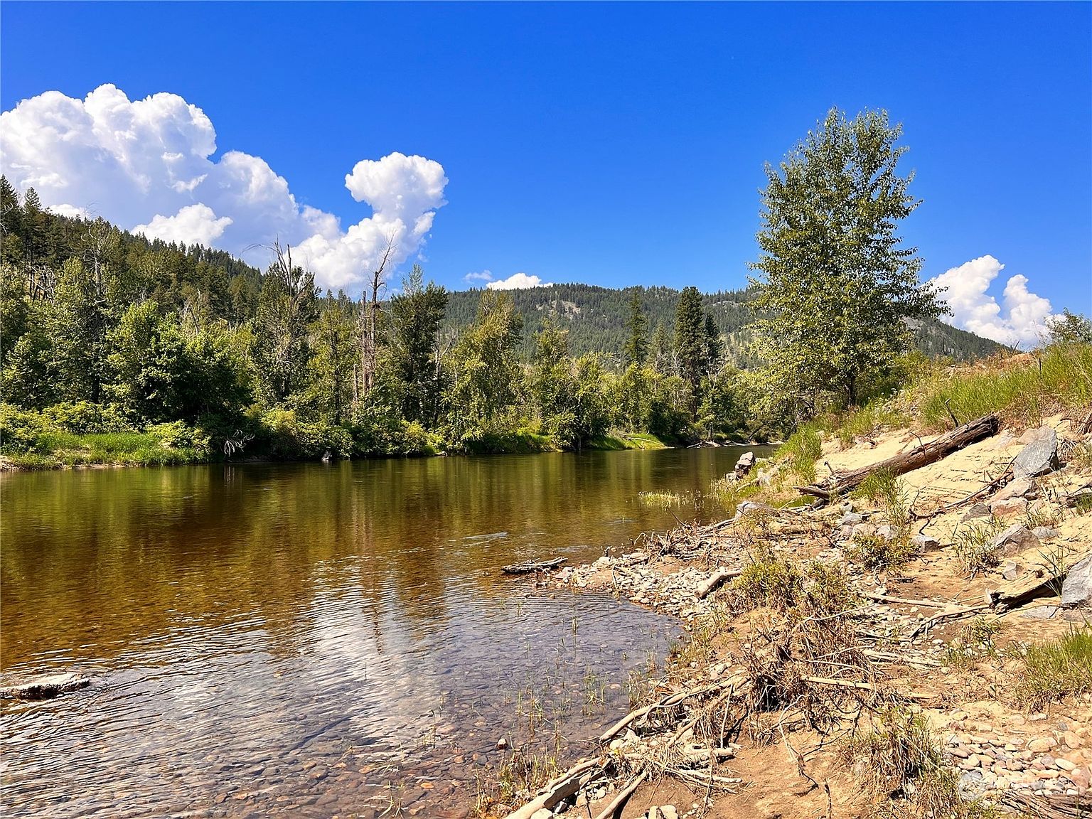 0 Lots 14 Customs Road, Curlew, WA 99118 MLS 2218101 Zillow