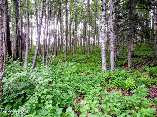 15274 W 4th St, Wasilla, AK 99623