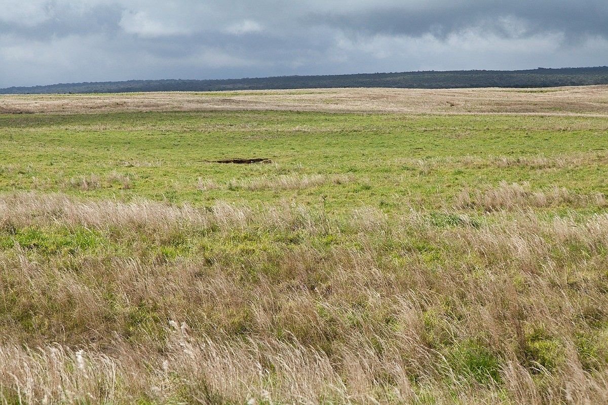 Mountain House Rd, Naalehu, HI 96772 MLS 661071 Zillow