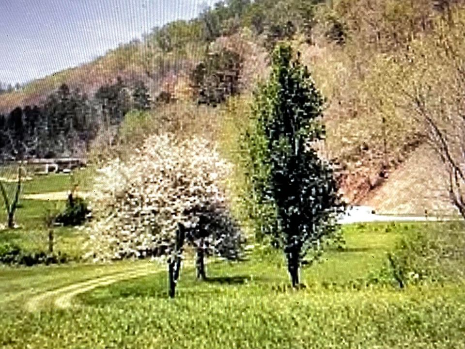 572 Sugar Camp Rd, Barbourville, KY 40906 MLS 22013610 Zillow
