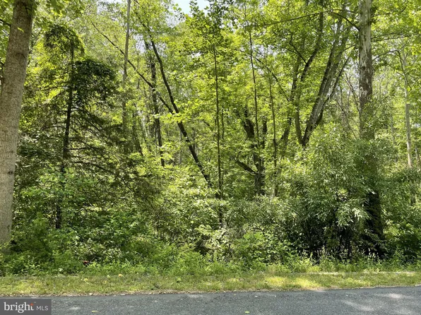 0 Spring St, Unionville, VA 22567