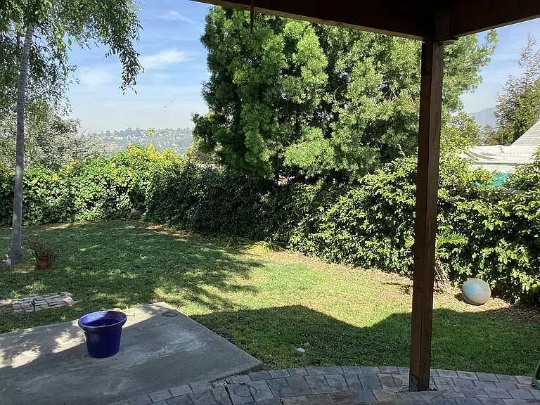 1125 Pagoda Pl — Photo 11