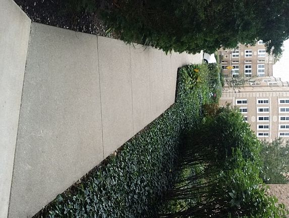 Walkway to Street