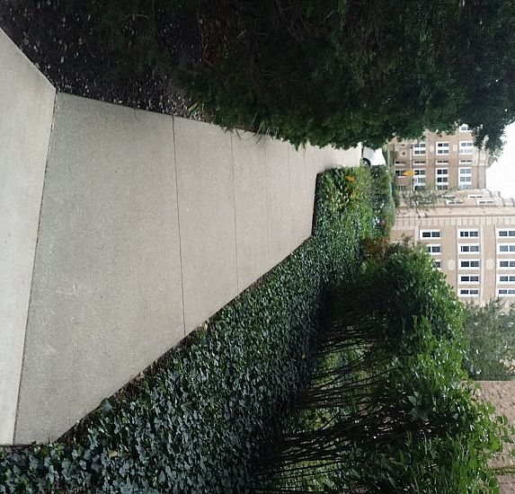 Walkway to Street