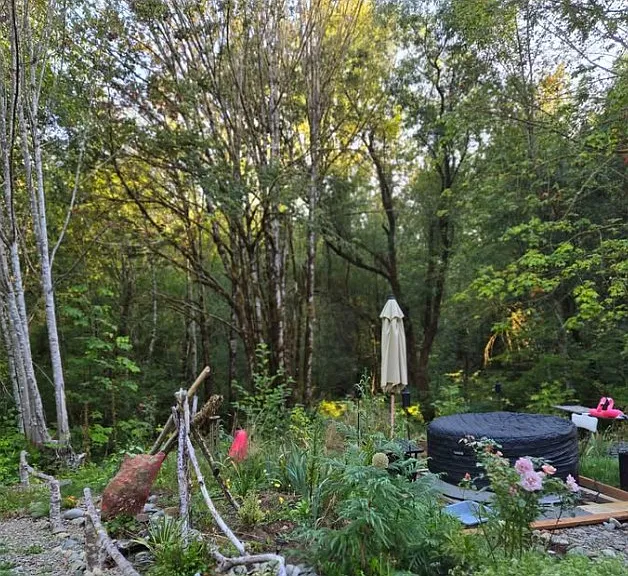 Davis Hill Rd — Photo 7