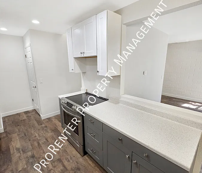 975 E Essex Court Way #3 — Photo 10
