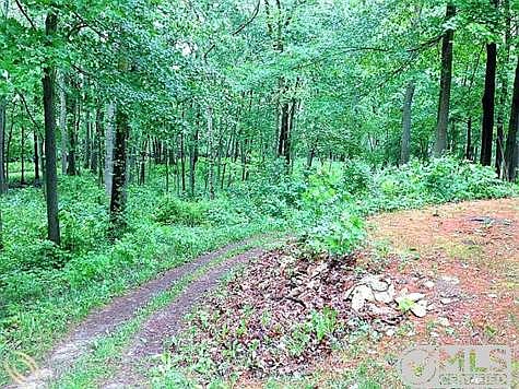 Natural portion of the property