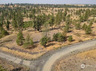 LOT 1 Dalloul Meadow Ln, Davenport, WA 99122